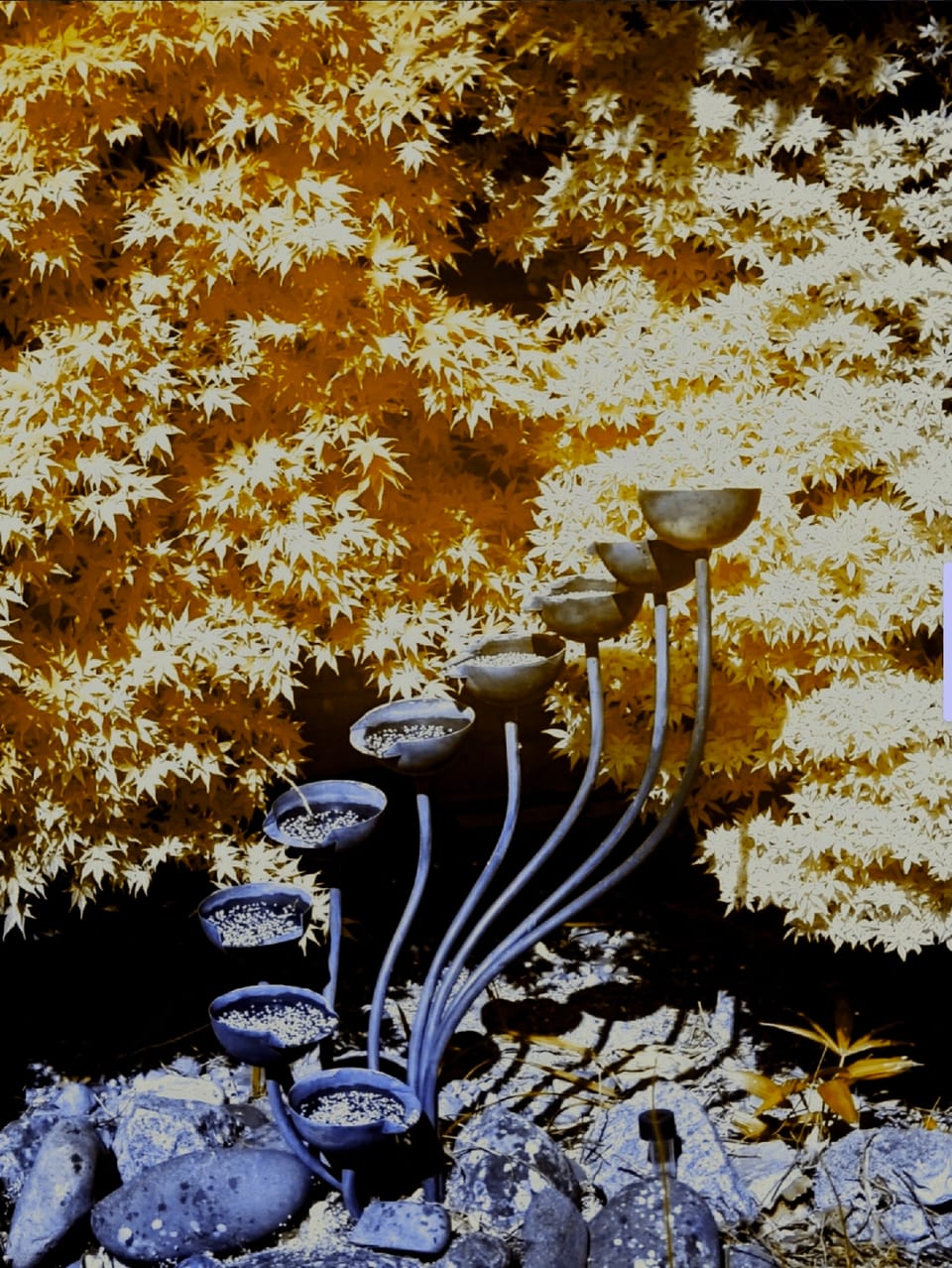 Using ExpertRAW and ImageToolbox for Infrared photos